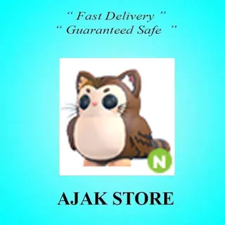 N Purrowl