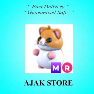 MR Hamster