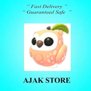 Peach Owl