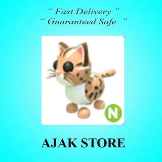 N Leopard Cat
