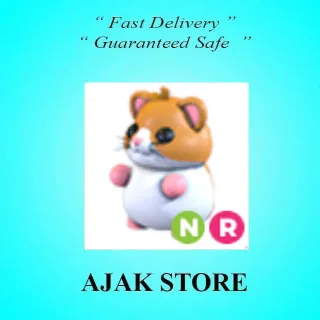 NR Hamster