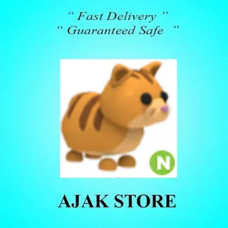 N Ginger Cat