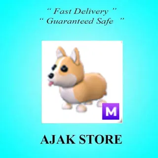 M Corgi