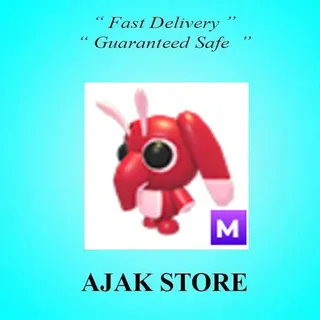 M Snorgle