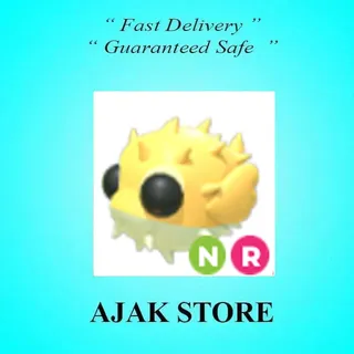 NR Puffer Fish