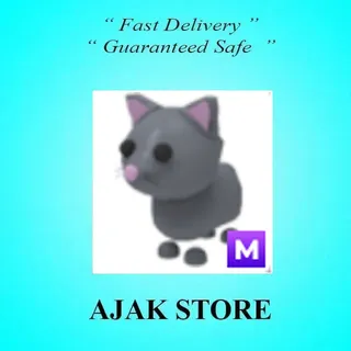 M Cat