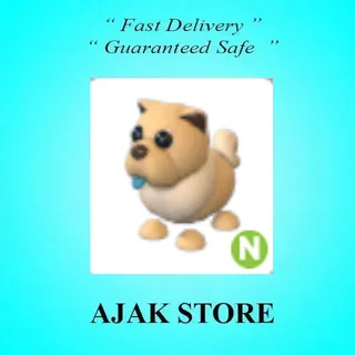 N Tan Chow Chow