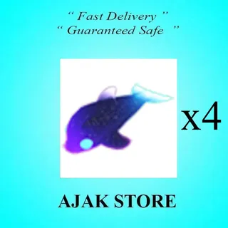 x4 Glormy Dolphin