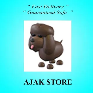 Irish Water Spaniel