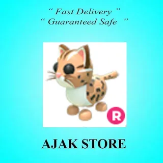 R Leopard Cat