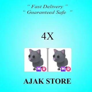 x4 MR Cat