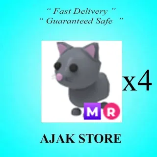 x4 MR Cat