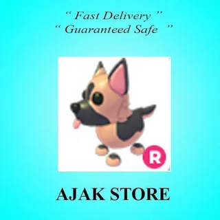 R German Shepherd