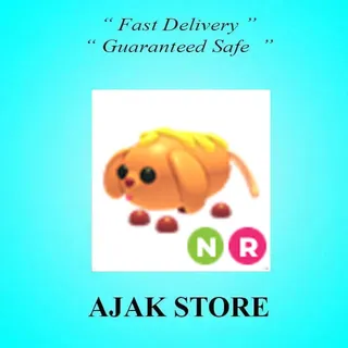 NR Corn Doggo
