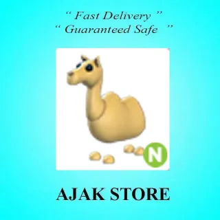 N Camel