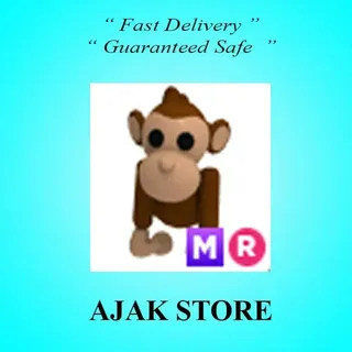 MR Monkey