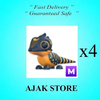 x4 M Tegu
