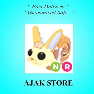 NR Bunny Swirl