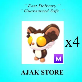 x4 M Aye Aye