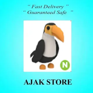 N Toucan