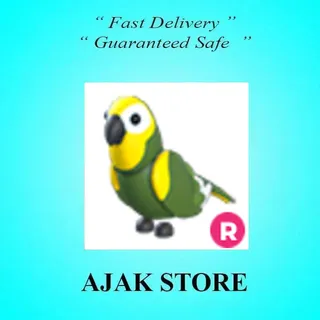 R Green Amazon