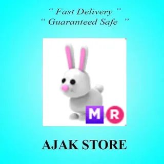 MR Bunny