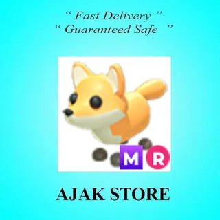 MR Red Fox