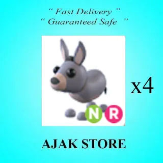 x4 NR Donkey