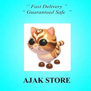 Catte