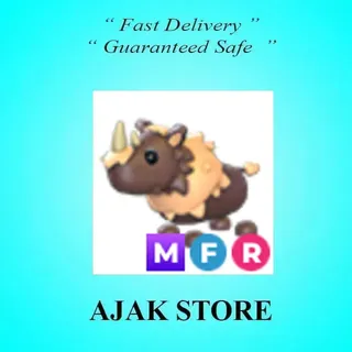 MFR Woolly Rhino