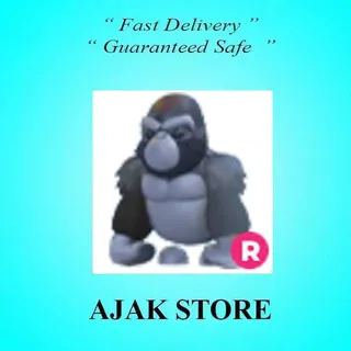 R Silverback Gorilla