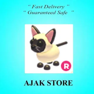 R Siamese Cat