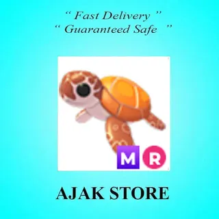 MR Sea Turtle