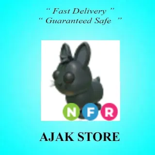 NFR Amami Rabbit