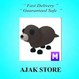 M Otter