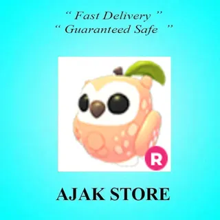 R Peach Owl