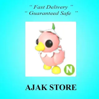 N Flower Power Duckling