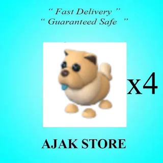 x4 Tan Chow Chow