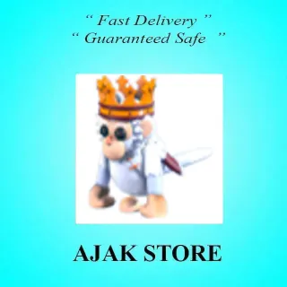 Royal Capuchin Monkey