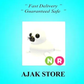 NR Harp Seal