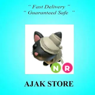 NR Halloween Black Mummy Cat