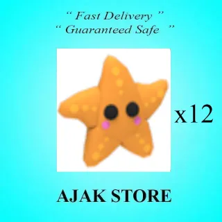 x12 Starfish