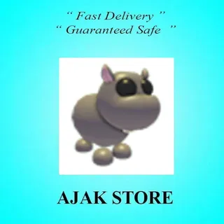 Hippo