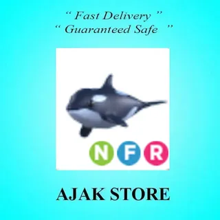 NFR Orca