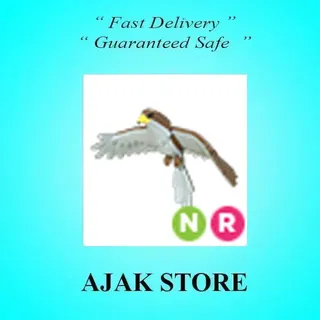 NR Hawk