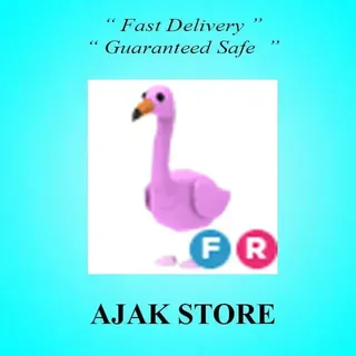 FR Flamingo