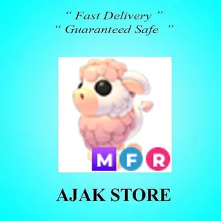 MFR Angus Cow