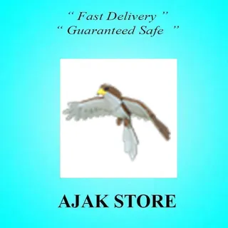 Hawk