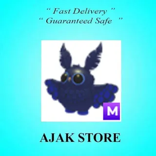 M Stygian Owl