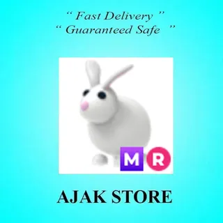 MR Rabbit